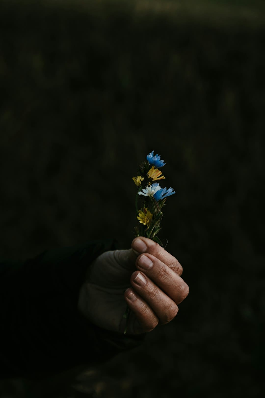 致景科技获评零碳节“双碳数字前锋奖”